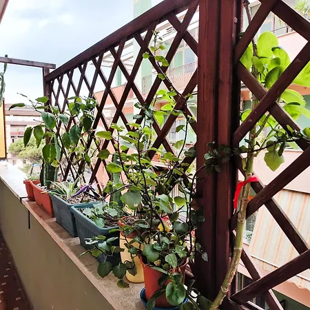 Apartament Euforbia House Lido di Ostia